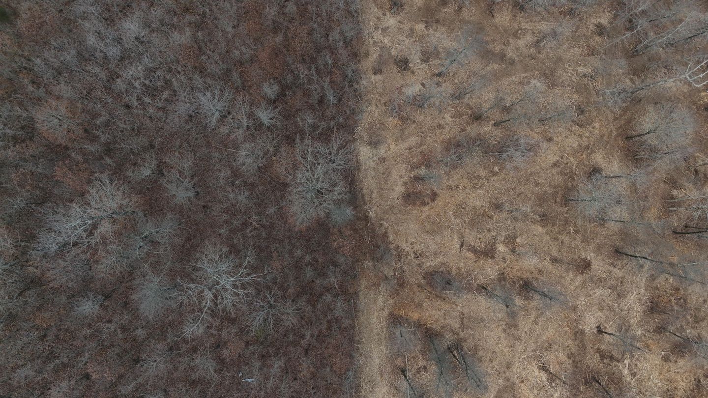 Before and after comparison of an Arkansas property: overgrown brush turned into clean cleared ground